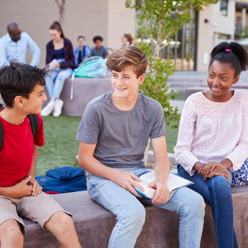 group-of-high-school-students-studying-outdoors-du-2024-10-19-06-51-33-utc (1) group-of-high-school-students-studying-outdoors-du-2024-10-19-06-51-33-utc (1)